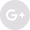 Google+ - Grey Circle